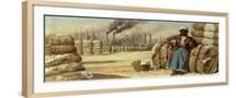 Brown Frame