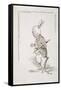 William Archibald Spooner (1844-1930) as the White Rabbit-John Tenniel-Framed Stretched Canvas