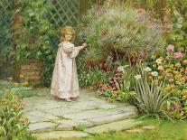 In the Garden-William Ashburner-Laminated Giclee Print