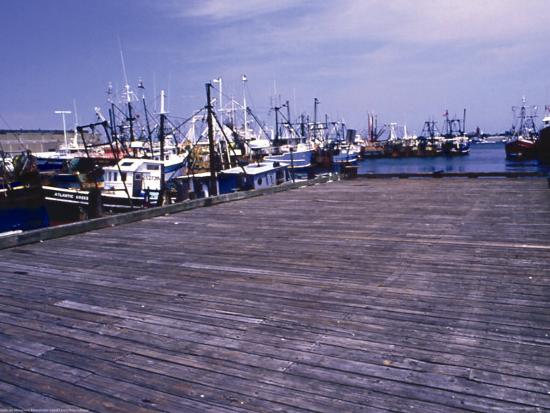 Photo, , large