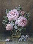 Pink Roses in a Glass Vase-William B. Hough-Framed Stretched Canvas