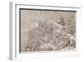 White Frame
