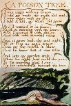 Cain Fleeing-William Blake-Art Print