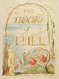 Thus Did Job Continually, 1825-William Blake-Giclee Print