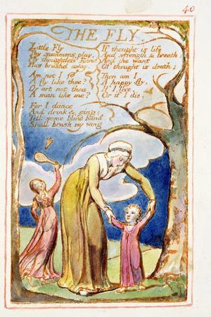 The Fly: Plate 40 from Songs of Innocence and of Experience C.1815-26