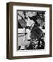 William Boyd-null-Framed Photo