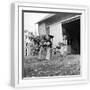 White Frame