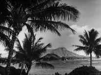 Waikiki Beach with Diamond Head in Rear as Seen from Across the Bay at the Royal Hawaiian-William C^ Shrout-Photographic Print