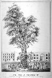 The Tree of Reformation, 1853-William Carter-Giclee Print