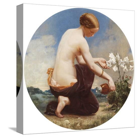 Stretched Canvas Print, , large
