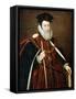 William Cecil, 1st Baron Burghley, 16th Century-Marcus Gheeraerts The Younger-Framed Stretched Canvas