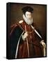 William Cecil, 1st Baron Burghley, 16th Century-Marcus Gheeraerts The Younger-Framed Stretched Canvas