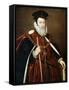 William Cecil, 1st Baron Burghley, 16th Century-Marcus Gheeraerts The Younger-Framed Stretched Canvas