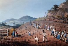 The Millyard, from 'ten Views in the Island of Antigua', 1823-William Clark-Giclee Print