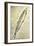William Clark's Sketch of a Trout in the Lewis and Clark Expedition Diary-null-Framed Giclee Print