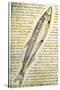 William Clark's Sketch of a Trout in the Lewis and Clark Expedition Diary-null-Stretched Canvas