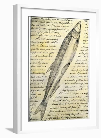 William Clark's Sketch of a Trout in the Lewis and Clark Expedition Diary-null-Framed Giclee Print