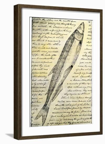 William Clark's Sketch of a Trout in the Lewis and Clark Expedition Diary-null-Framed Giclee Print