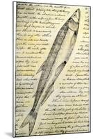 William Clark's Sketch of a Trout in the Lewis and Clark Expedition Diary-null-Mounted Giclee Print