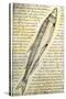 William Clark's Sketch of a Trout in the Lewis and Clark Expedition Diary-null-Stretched Canvas