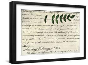 William Clark's Sketch of an Evergreen Shrub Leaf in the Lewis and Clark Expedition Diary, c.1806-null-Framed Giclee Print