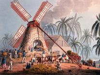 Working in the Field in Antigua, Lesser Antilles, 1823-William Clark-Giclee Print