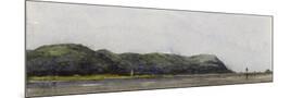 Wood Mount