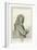 William Congreve, Esquire-Godfrey Kneller-Framed Giclee Print