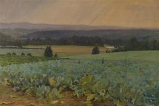 Turnip Field-William Cosens Way-Framed Stretched Canvas