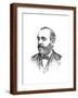 Brown Frame
