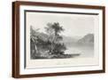 Brown Frame