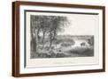 Brown Frame