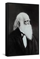 William Cullen Bryant-null-Framed Stretched Canvas