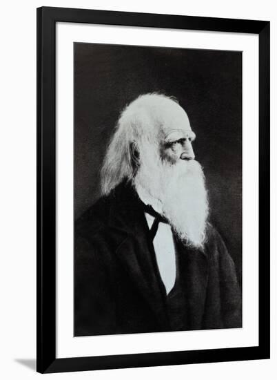 William Cullen Bryant-null-Framed Photographic Print