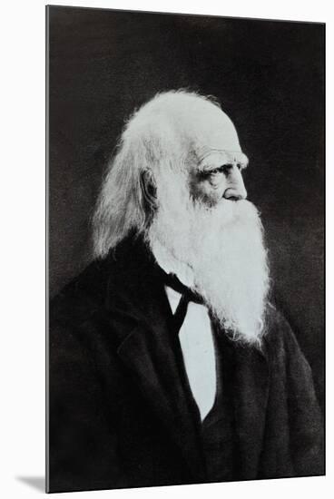 William Cullen Bryant-null-Mounted Photographic Print