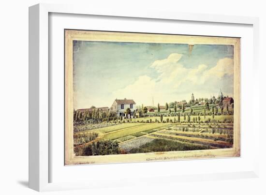 William Curtis's Botanic Garden, Lambeth Marsh, Ante 1787, C.1787-James Sowerby-Framed Giclee Print