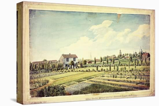 William Curtis's Botanic Garden, Lambeth Marsh, Ante 1787, C.1787-James Sowerby-Stretched Canvas