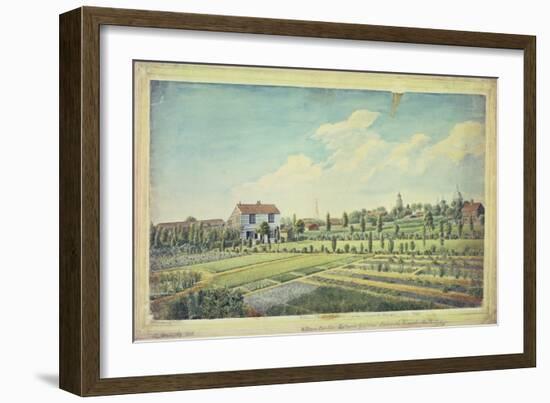 William Curtis's Botanic Gardens, Lambeth Marsh, C.1787-James Sowerby-Framed Giclee Print