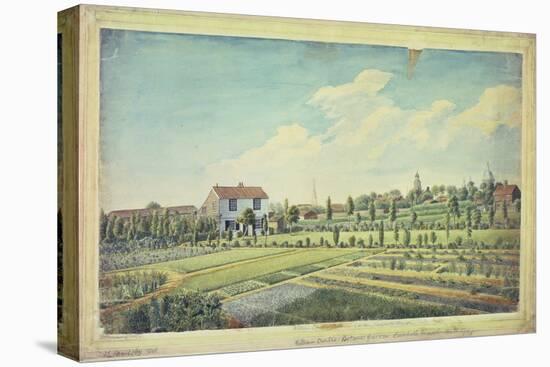 William Curtis's Botanic Gardens, Lambeth Marsh, C.1787-James Sowerby-Stretched Canvas