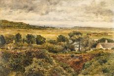 Junction of the Liffey and Rye near Leixlip, 1857 (Oil on Canvas)-William Davis-Giclee Print