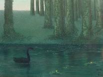 The Black Swan, 1896 (Pastel on Paper)-William Degouve de Nuncques-Giclee Print