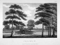 View of Clapham, London, 1792-William Ellis-Giclee Print