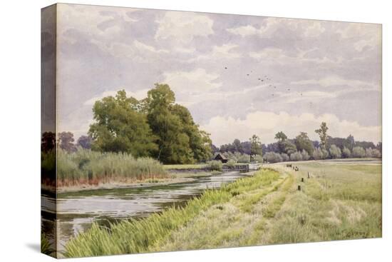 Stretched Canvas Print, , large