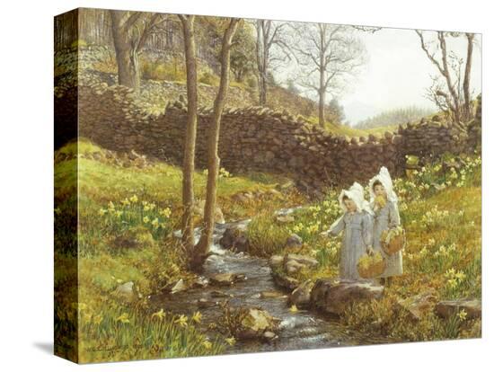 Stretched Canvas Print, , large