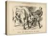 William Gladstone Taking the (Irish) Bull by the Horns-John Tenniel-Stretched Canvas