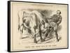 William Gladstone Taking the (Irish) Bull by the Horns-John Tenniel-Framed Stretched Canvas