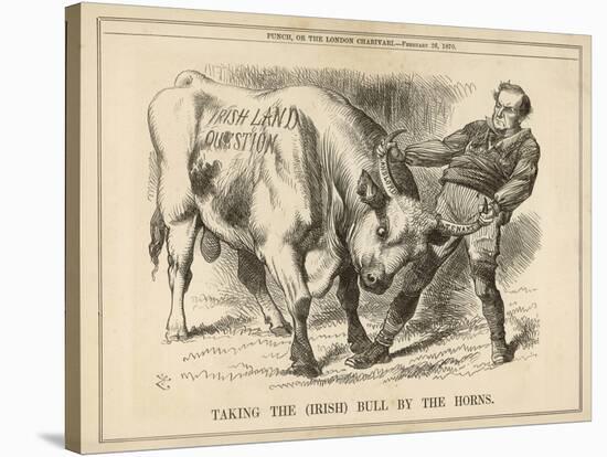 William Gladstone Taking the (Irish) Bull by the Horns-John Tenniel-Stretched Canvas