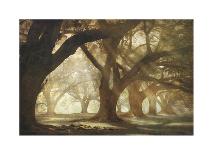 Two Oaks in Rain, Audubon Gardens-William Guion-Art Print