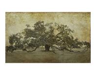 Two Oaks in Rain, Audubon Gardens-William Guion-Art Print