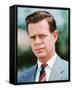 William H. Macy-null-Framed Stretched Canvas